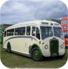 Tilling liveried coaches
